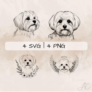 Maltese SVG Bundle, Maltese Dog PNG ,Maltese Clipart, Hand drawn Maltese pictures for print and engraving