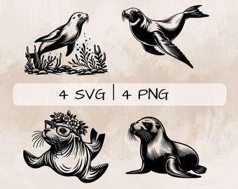Sea Lion SVG Bundle, Floral Sea Lion PNG, Sea Lion in Sea Clipart, Hand drawn Sea Lion pictures for print and engraving