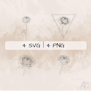Ranunculus SVG Bundle, Buttercup Flower PNG ,Ranunculus Clipart, Hand drawn Ranunculus pictures for print and engraving