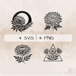 Aster SVG Bundle, Aster Flower PNG ,Aster Clipart, Hand drawn Aster pictures for print and engraving
