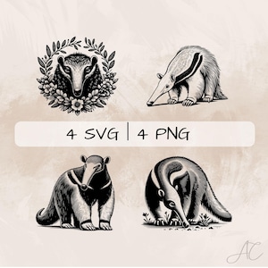 Ameisenbär SVG Bundle, Ameisenbär Gesicht PNG, Ameisenbär Clipart, Handgezeichnete Ameisenbär Bilder zum Drucken und Gravieren