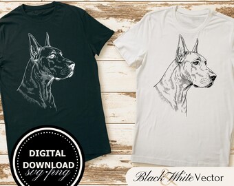 Great Dane SVG Bundle, Great Dane Dog PNG ,Great Dane Clipart, Hand drawn Great Dane pictures for print and engraving
