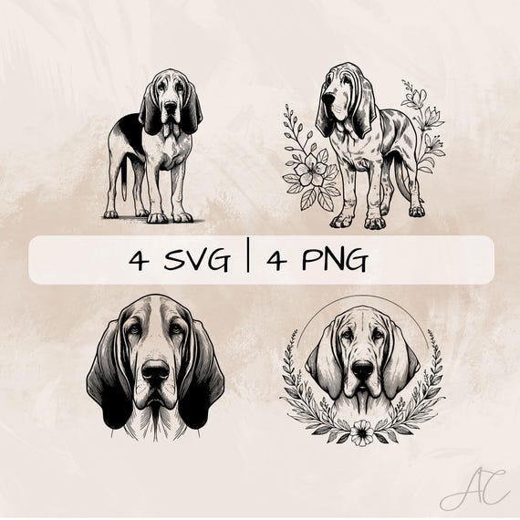 Bloodhound SVG Bundle, St. Hubert Hound Line Art PNG, Chien De