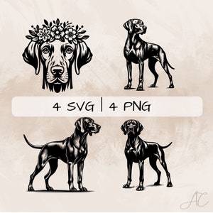 Vizsla SVG Bundle, Vizsla with Flowers PNG, Cute Vizsla Dog Clipart, Hand drawn Triceratops pictures for print and engraving