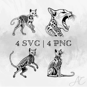 Realistic cat skeleton SVG, PNG , Digital download, Halloween cat ,Vector, Hand drawn Cat skeleton pictures for print and engraving