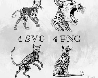 Realistic cat skeleton SVG, PNG , Digital download, Halloween cat ,Vector, Hand drawn Cat skeleton pictures for print and engraving