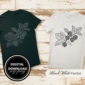 Blackberry SVG Bundle, Fruit PNG, Blackberry Branch Clipart, Hand drawn Berries pictures for print and engraving