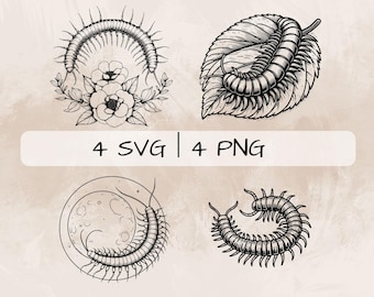 ムカデ SVG バンドル、昆虫 PNG、ムカデ クリップアート、印刷および彫刻用の手描きのムカデの絵