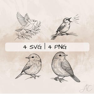 Nightingale SVG Bundle, Nightingale Bird PNG ,Nightingale Clipart, Hand drawn Nightingale pictures for print and engraving