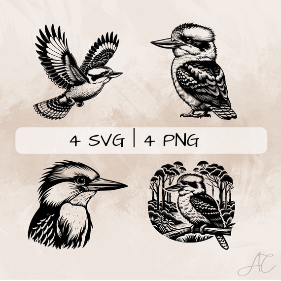Kookaburra SVG Bundle, Kookaburra Flying PNG, Kookaburra in Forest