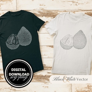 Salak SVG Bundle, Snake Fruit PNG, Food Clipart, Hand drawn Salak pictures for print and engraving