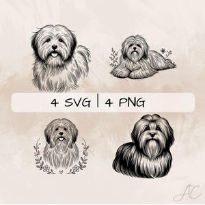 Paquete Coton de Tulear SVG, Coton de Tulear PNG, Floral Coton de Tulear Clipart, Imágenes Coton de Tulear dibujadas a mano para impresión y grabado