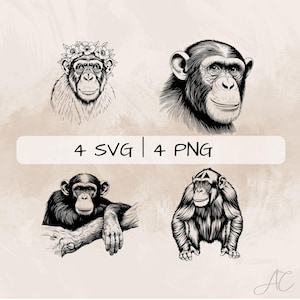 Chimpanzee SVG Bundle, Chimpanzee Monkey PNG , Floral Chimpanzee Clipart, Hand drawn Chimpanzee pictures for print and engraving