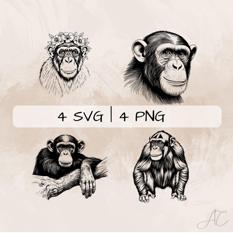 Chimpanzee SVG Bundle, Chimpanzee Monkey PNG , Floral Chimpanzee ...