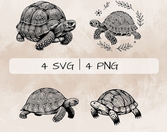 Tortoise SVG bundle, Cute Tortoise PNG, Tortoise Logo, Hand drawn Tortoise pictures for print and engraving
