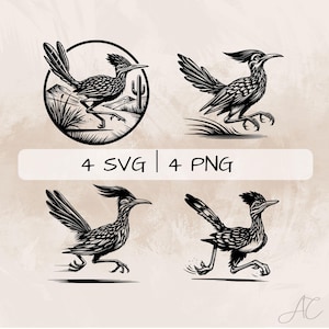 Roadrunner SVG Bundle, Roadrunner Running PNG ,Roadrunner Desert Scene Clipart, Hand drawn Roadrunner pictures for print and engraving