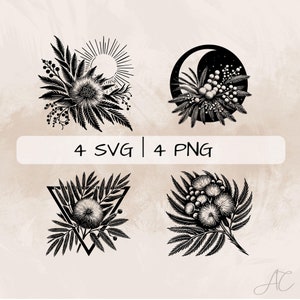 Bundle SVG Mimosa, fleur de Mimosa PNG, Clipart fleur de Mimosa, images Mimosa dessinées à la main pour impression et gravure