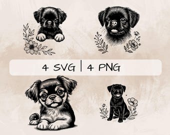 Petit Brabançon SVG Bundle, Cute Brabançon PNG, Floral Brabançon Face Clipart, Hand drawn Petit Brabançon pictures for print and engraving