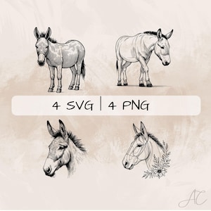 May include: Four black and white line drawings of donkeys. Two are full-body drawings, and two are headshots. The drawings are simple and elegant.