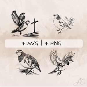 Puede incluir: Cuatro ilustraciones de aves en blanco y negro en diferentes poses, una con una cruz. La imagen incluye el texto "4 SVG | 4 PNG". Las aves están detalladas con alas abiertas y poses de pie.