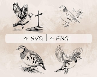 Paquete SVG de perdiz, pájaro perdiz PNG, clipart de perdiz, imágenes de perdiz dibujadas a mano para imprimir y grabar