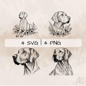 May include: Four black and white illustrations of a Bloodhound dog with floral accents. The dog is shown in different poses, including sitting, standing, and looking to the side. The illustrations are perfect for use in digital or print projects.