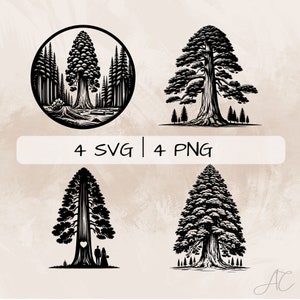 Sequoia Tree SVG bundle, Redwood Tree with Swing PNG, Sequoia Tree Clipart, Hand drawn Sequoia Tree pictures for print and engraving