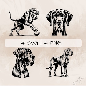 Könnte beinhalten: Vier Schwarzweißillustrationen eines Doggenhundes. Ein Bild zeigt den Hund, der mit einem Ball spielt, ein anderes zeigt den Kopf des Hundes, und die letzten beiden zeigen den Hund stehend und sitzend.