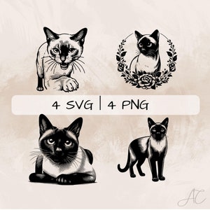 Bundle SVG chat siamois, visage de chat siamois PNG, clipart floral chat siamois, images de chat siamois dessinées à la main pour impression et gravure