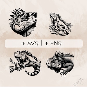 Iguana SVG Bundle, Iguana and sunglasses PNG ,Iguana Clipart, Hand drawn Iguana  pictures for print and engraving