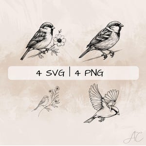 Sparrow SVG Bundle, Floral Sparrow PNG , Flying Sparrow Clipart, Hand drawn Sparrow pictures for print and engraving