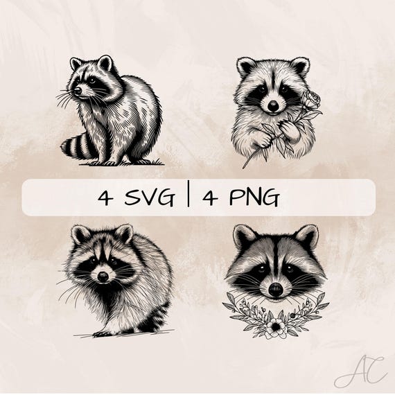 Drinking Racoon Line Drawing Raccoon Line Drawing Easy