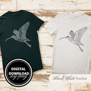 Curlew SVG Bundle, Curlew Vogel PNG, Brachvogel Clipart, Handgezeichnete Brachvogel Bilder für Druck und Gravur