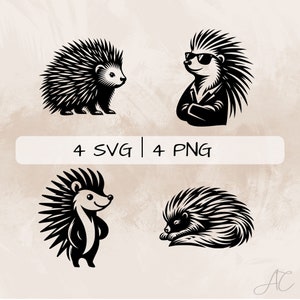 Porcupine SVG bundle, Cool Porcupine PNG, Sleeping Porcupine Clipart, Hand drawn Porcupine pictures for print and engraving