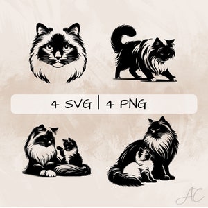 Ragdoll Cat SVG bundle, Ragdoll PNG, Cat Face Clipart, Hand drawn Ragdoll Cat pictures for print and engraving
