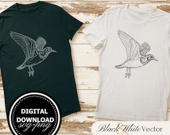Turnstone SVG Bundle, Shorebird PNG ,Turnstone Clipart, Hand drawn Turnstone pictures for print and engraving