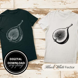May include: Two t-shirts, one dark green and one white, each featuring a detailed black and white illustration of a fig cut in half. The dark green shirt has a circular "DIGITAL DOWNLOAD svg.png" graphic. The white shirt has "Black & White Vector" text.