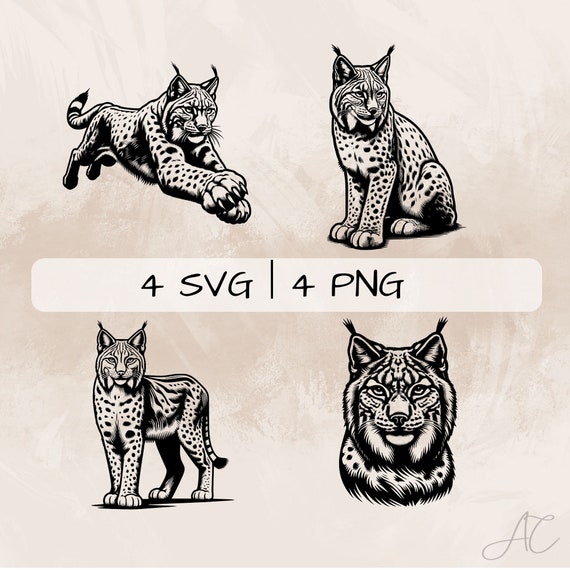 Lynx SVG, Lynx Face PNG, Lynx Cat Clipart, Hand Drawn Lynx
