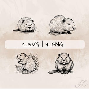 Beaver SVG Bundle, Cute Beaver PNG ,Beaver and Flowers Clipart, Hand drawn Beaver pictures for print and engraving