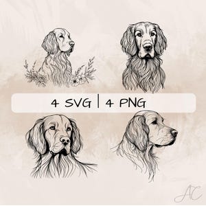 Pode incluir: Quatro desenhos em preto e branco de cabeças de Golden Retriever. Os cães estão olhando para a direita. Os desenhos são em um estilo simples e minimalista. 4 SVG | 4 PNG