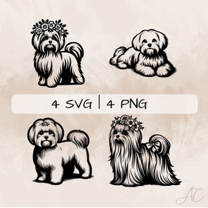 Maltese SVG bundle, Maltese and flowers PNG, Maltese Dog Clipart , Hand drawn Maltese pictures for print and engraving