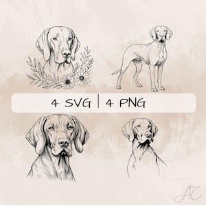 Vizsla SVG Bundle, Vizsla Dog PNG , Vizsla Clipart, Handritade Vizsla-bilder för tryck och gravering