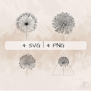 Allium SVG Bundle, Allium Flower PNG ,Allium Clipart, Hand drawn Allium pictures for print and engraving