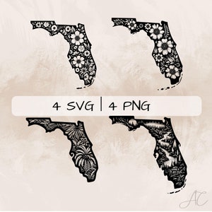 Florida SVG bundel, Florida overzicht PNG, Florida kaart clipart, hand getrokken Florida foto's voor afdrukken en graveren
