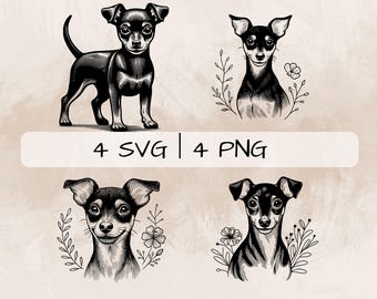 Miniature Pinscher SVG Bundle, Pinscher PNG, Floral Pinscher Clipart, Hand drawn Miniature Pinscher pictures for print and engraving