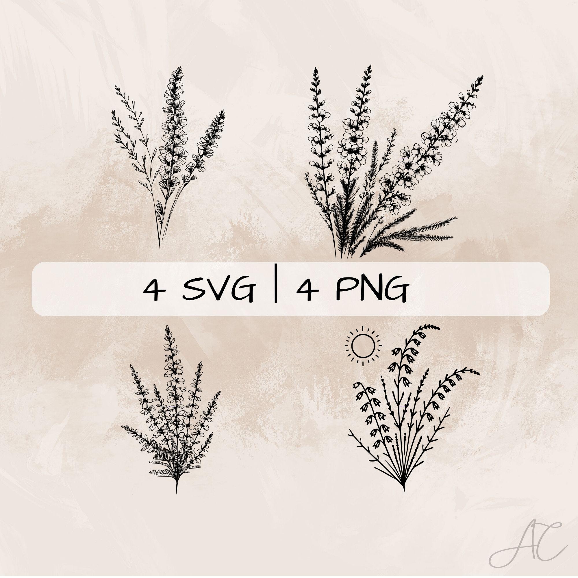 Heather Flower SVG Bundle, Calluna PNG, Common Heather Clipart, Hand drawn Heather and Sun pictures for print and engraving