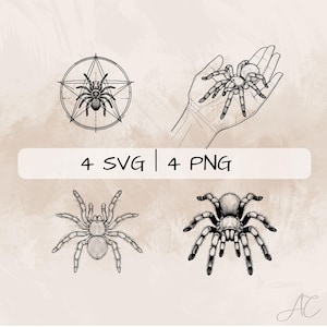 Tarantula SVG Bundle, Spider PNG ,Tarantula Spider Clipart, Hand drawn Tarantula pictures for print and engraving