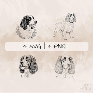 English Springer Spaniel SVG Bundle, English Spaniel PNG, Hand drawn English Springer Spaniel pictures for print and engraving