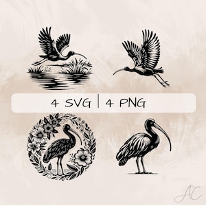 Ibis SVG Bundle, Flying Ibis PNG ,Floral Ibis Clipart, Hand drawn Ibis pictures for print and engraving