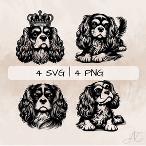 Cavalier King Charles Spaniel SVG bundle, Cavalier King PNG, Spaniel Clipart, Hand drawn Cavalier King pictures for print and engraving